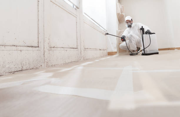 24/7 Emergency Black Mold Remediation experts in Barrington, NJ