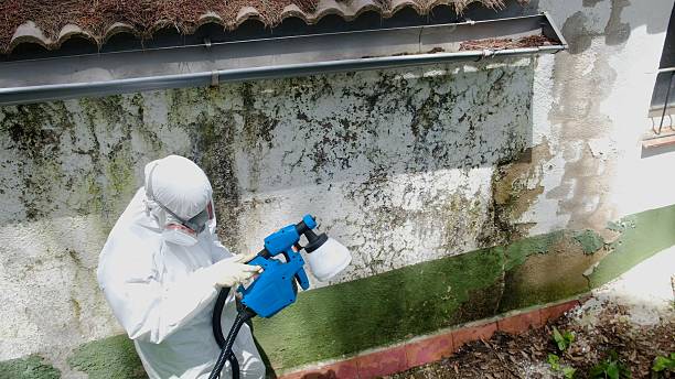 Top rated local Black Mold Remediation specialists in Barrington, NJ